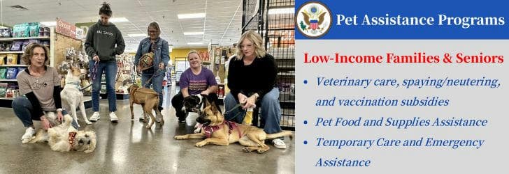 🐾Pet Assistance Programs: Providing Real Help for Low-Income Families and Seniors