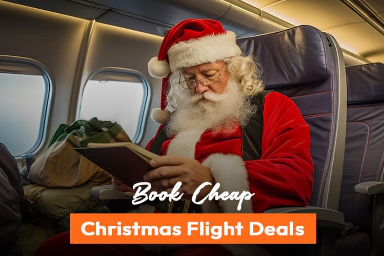 Affordable Christmas Flights for Seniors and Low-Income Individuals: Smart Ways to Travel in 2025