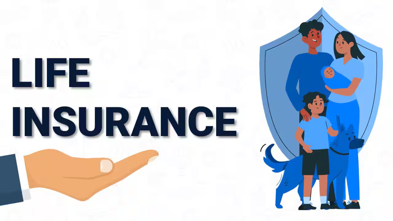 Costco Life Insurance for Members: A Practical Guide to Affordable Term Life Insurance 