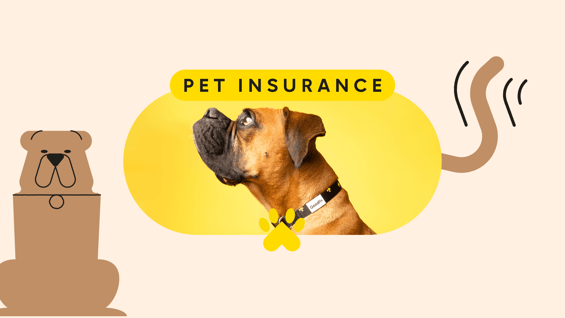 State Farm Pet Insurance: A Practical Guide to Coverage, Dog Insurance Costs, and Quote Factors in the U.S.