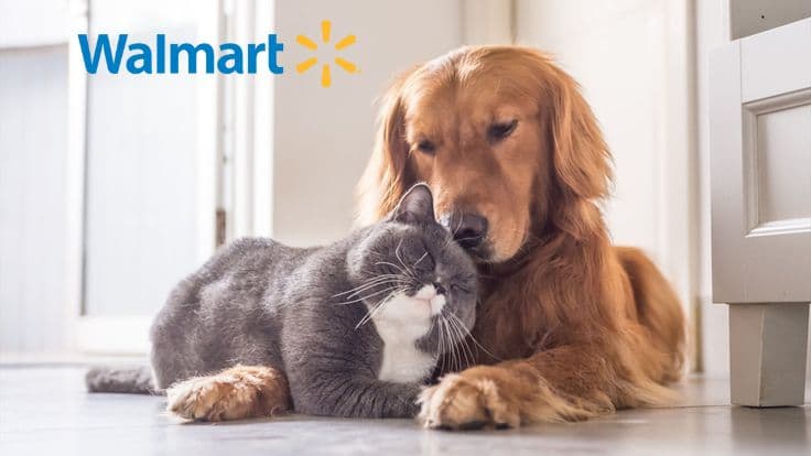 Walmart and Costco Pet Insurance: Practical Coverage Insights for Seniors, Families, and Budget-Conscious Households