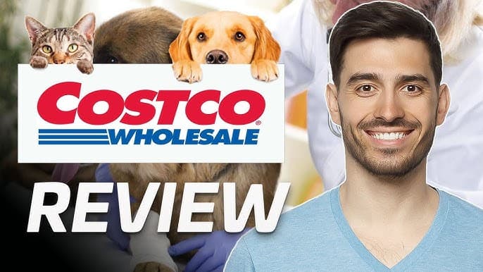 Walmart vs Costco Pet Insurance Offers Guide: Which One Is Better for Your Pet?