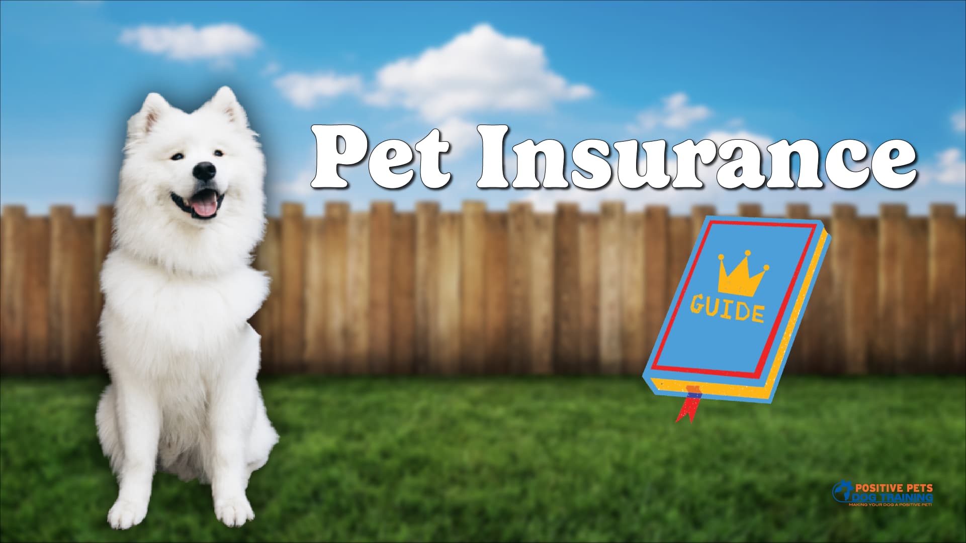 Walmart Pet Insurance Coverage Policy Details You Should Read Carefully
