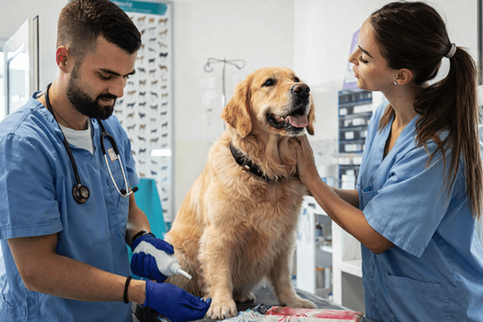 State Farm Pet Insurance in 2026: Dog and Cat Coverage, Costs, and Senior Pet Options