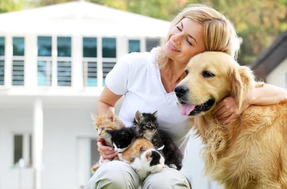 Pet Insurance in the U.S.: A Practical Guide for Dog Owners, Cat Owners, and Other Pet Households