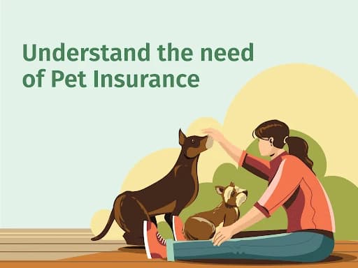 April 2026 Update: Pet Insurance for Seniors and Low-Income Families