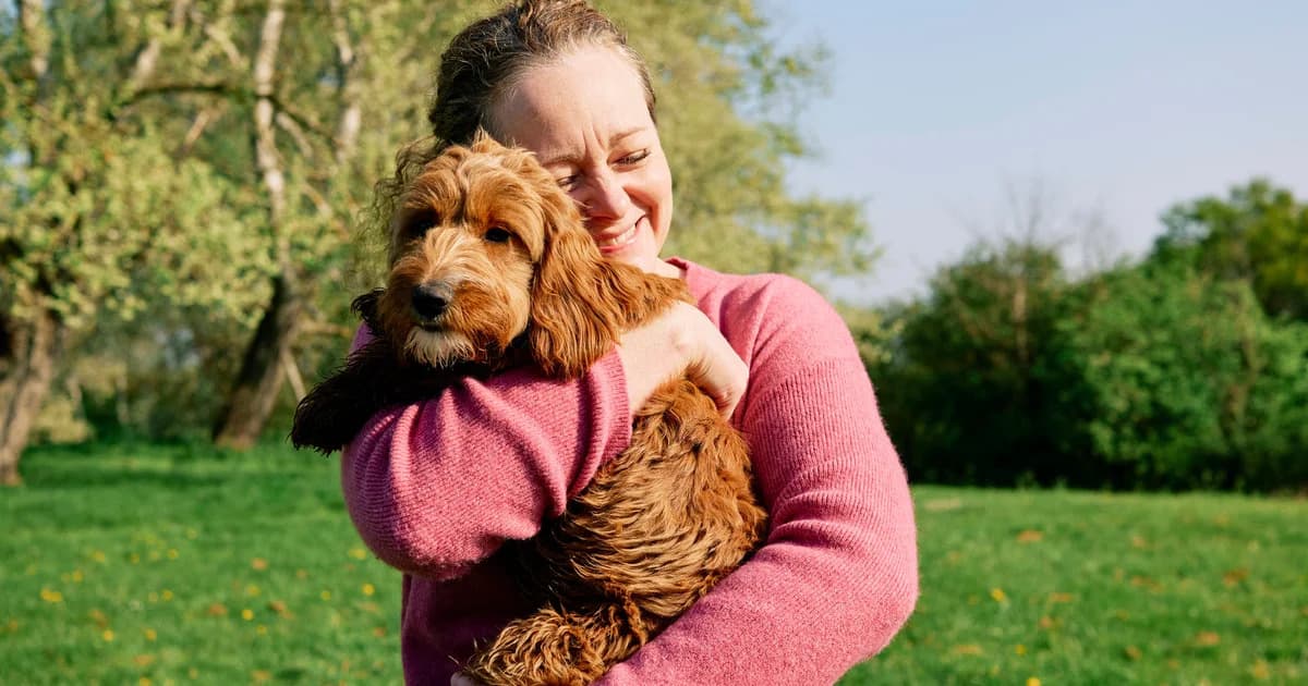 Pet Insurance for Older Dogs: What You Need to Know