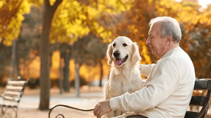 Seniors Pet Insurance in the U.S.: A Practical 2026 Guide to Protecting Dogs & Cats and Managing Costs with Confidence
