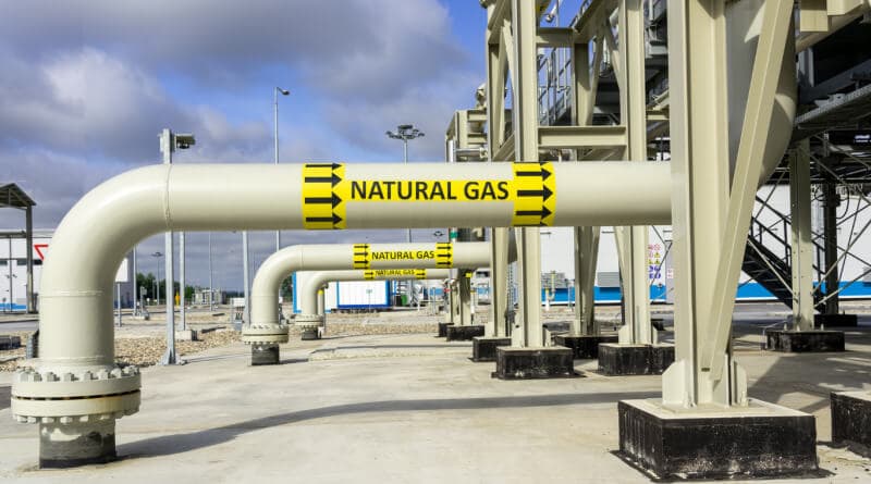 Top 10 Largest Gas Utilities in the U.S. (2026 Guide)