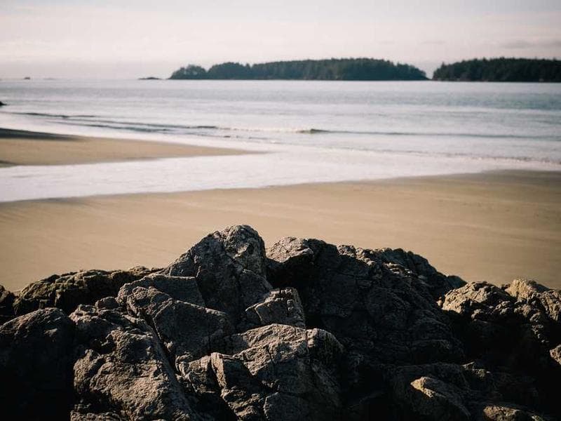 Mindful Moments: How Mindfulness and Calm Reflection Support Self-Regulation in Autism
