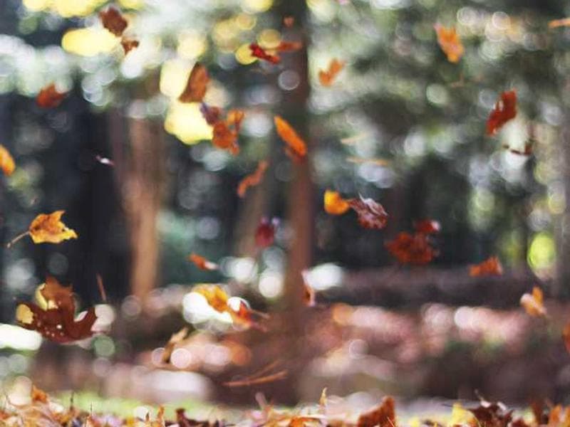 Practical Reading Activities for Families with Autistic Kids