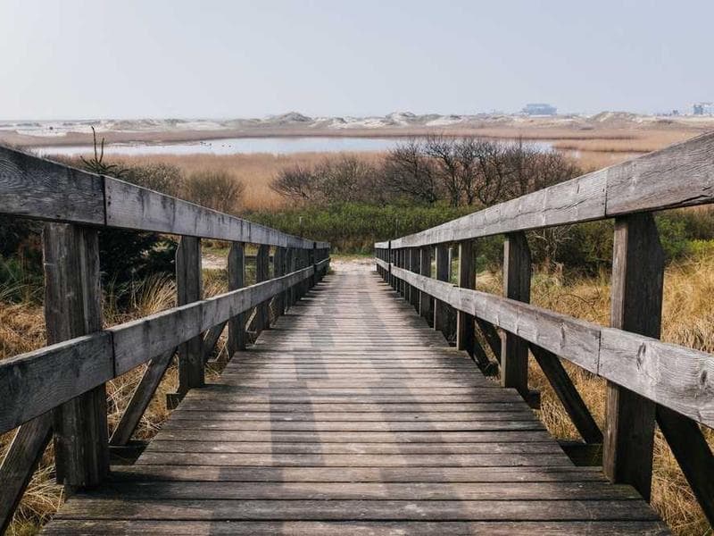 Library Strategies for Finding Autistic-Friendly Books