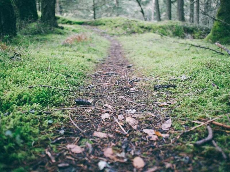 Overcoming Access Barriers to Early Intervention for Autism