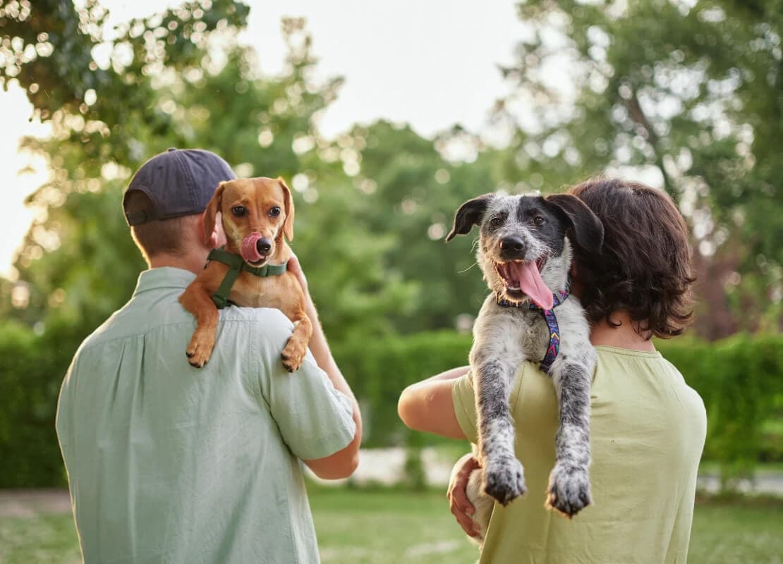 Best Pet Insurance in Canada for 2026