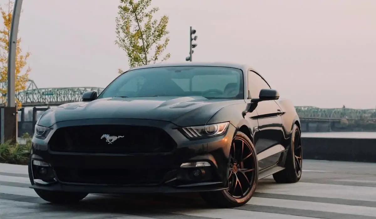 5 Truths About Driving in the U.S. as a Foreigner